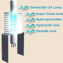 Ahpco cell deals