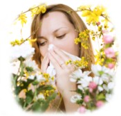 Allergy Relief Air Purifiers